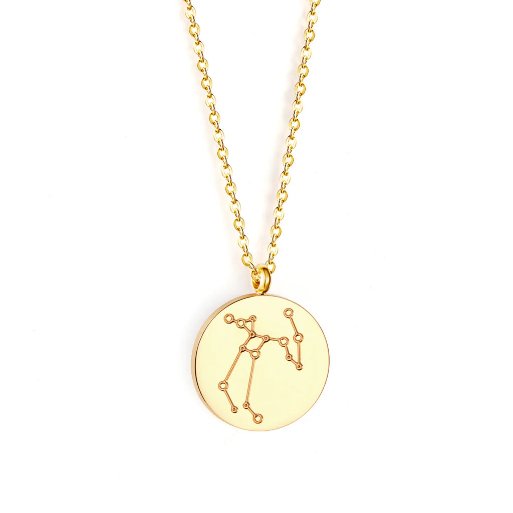 Zodiac sign necklace💧